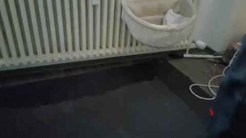 Wetgerman online show from 03/11/25, 03:45