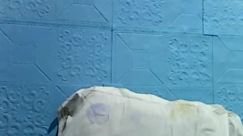 wettyhottie69 online show from 07/01/26, 10:31