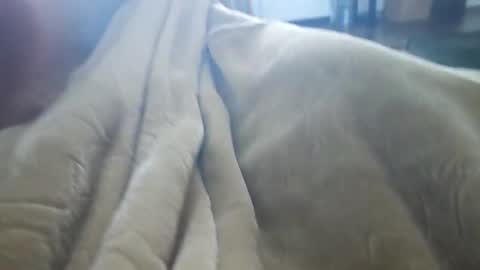 what_whaaat online show from 11/03/25, 09:16