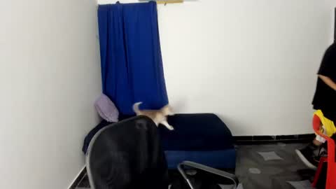white online show from 07/14/26, 03:55