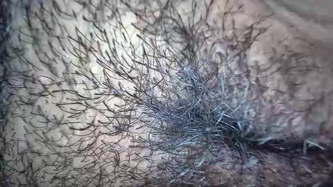 Snapshot of white_sexy_ chatting on 11/20/25, 10:15 white_sexy_ online show from 11/20/25, 10:15