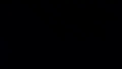 Snapshot of whitehead_lion chatting on 01/20/25, 07:57 whitehead_lion online show from 01/20/25, 07:57