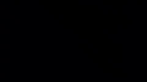 Snapshot of whitehead_lion chatting on 02/21/25, 05:31 whitehead_lion online show from 02/21/25, 05:31