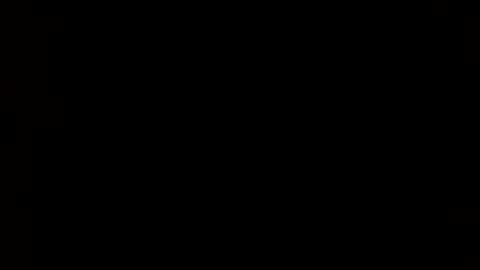 Snapshot of whitehead_lion chatting on 02/24/25, 06:05 whitehead_lion online show from 02/24/25, 06:05