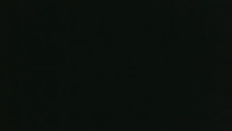 Snapshot of whitehead_lion chatting on 12/15/25, 08:24 whitehead_lion online show from 12/15/25, 08:24