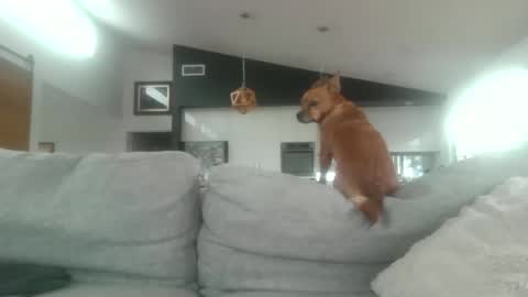 whitepantieman online show from 01/28/25, 10:12