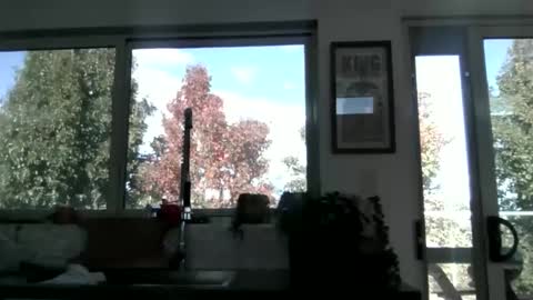 Snapshot of whitepantyman1973 chatting on 04/29/26, 03:10 whitepantyman1973 online show from 04/29/26, 03:10