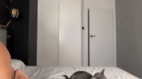 Snapshot of why_____not chatting on 10/02/25, 04:14 Alice online show from 10/02/25, 04:14