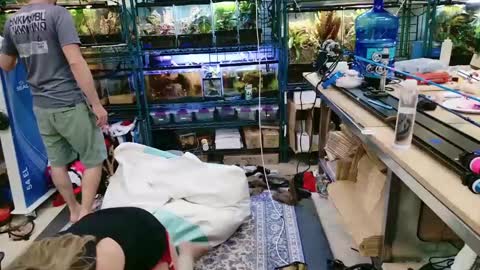 WifeNheels online show from 06/07/26, 09:18