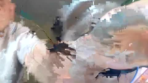 WikiBitch online show from 10/10/25, 09:25