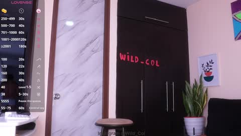 wild_col online show from 12/17/24, 12:33