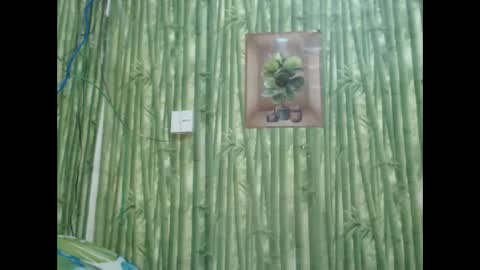 Snapshot of wild_pamela chatting on 12/08/24, 06:01 loving trans Pamela online show from 12/08/24, 06:01