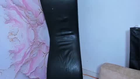 Snapshot of wild_revenge chatting on 12/14/24, 05:29 Camila - Boy Ronaldo MOD JEISON online show from 12/14/24, 05:29