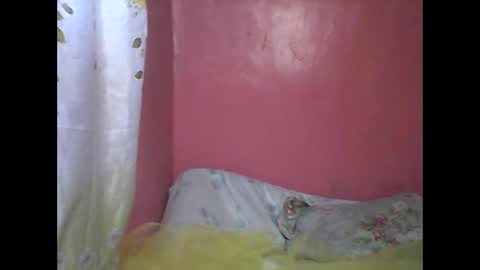 Snapshot of wild_sunflower11 chatting on 12/25/24, 03:40 wild_sunflower11 online show from 12/25/24, 03:40