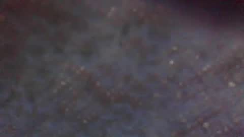 Snapshot of wildflower206042 chatting on 05/20/26, 07:47 xxLavanderxx online show from 05/20/26, 07:47