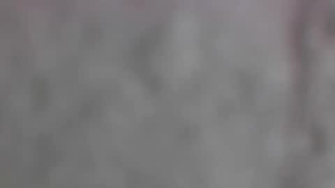 Snapshot of wildflower206042 chatting on 06/04/26, 11:00 xxLavanderxx online show from 06/04/26, 11:00