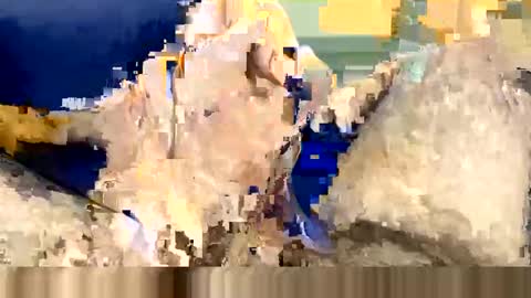 Wildhon online show from 03/08/25, 06:16
