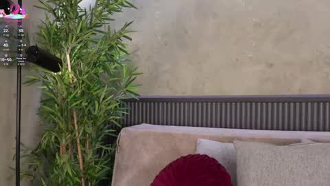 Snapshot of willow_hendrix chatting on 05/18/26, 11:38 Ms Willow online show from 05/18/26, 11:38
