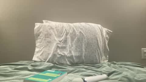 Snapshot of willowwilder chatting on 01/03/25, 04:11 Willow online show from 01/03/25, 04:11