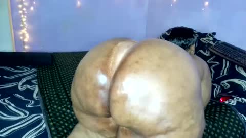 Snapshot of wilmaassylum chatting on 11/20/25, 05:51 wilmaassylum online show from 11/20/25, 05:51