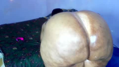 Snapshot of wilmaassylum chatting on 12/01/25, 08:52 wilmaassylum online show from 12/01/25, 08:52