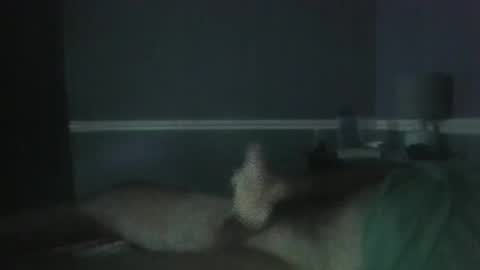 Jerkoff Brad online show from 10/28/25, 05:15