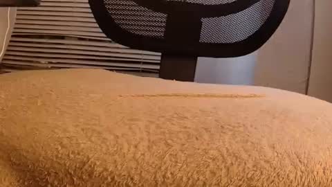 Mater online show from 09/29/25, 08:30