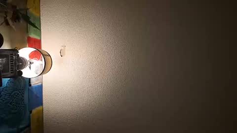 wizardmike421 online show from 11/19/25, 03:06