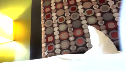 Ryan online show from 11/12/25, 05:24