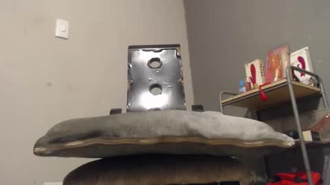 SHENIEL RODRIGUEZ online show from 12/02/25, 11:00