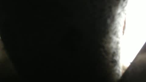 Snapshot of wonderfullight chatting on 02/17/26, 05:41 SHENIEL RODRIGUEZ online show from 02/17/26, 05:41