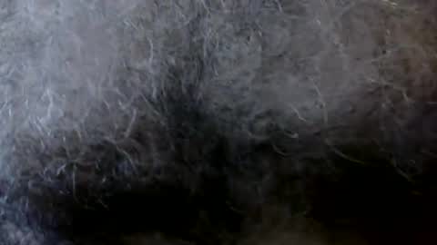 WoodieSays online show from 10/17/25, 04:20