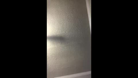 Snapshot of woodpipe69 chatting on 12/23/24, 03:01 Woodpipe69 online show from 12/23/24, 03:01