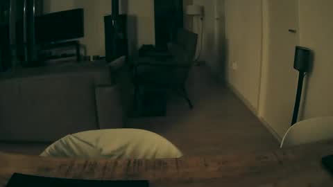 Snapshot of woodwurm chatting on 11/10/25, 03:05 woodwurm and Snoeske online show from 11/10/25, 03:05