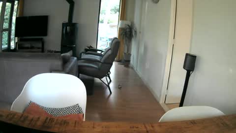 woodwurm and Snoeske online show from 06/25/26, 05:12