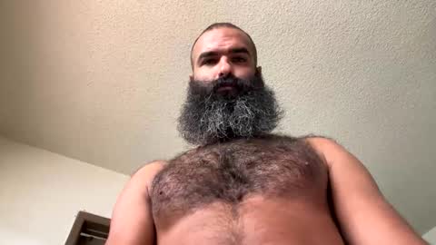 Snapshot of woof_wolf37 chatting on 11/01/25, 04:42 woof_wolf37 online show from 11/01/25, 04:42