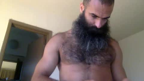 Snapshot of woof_wolf37 chatting on 02/10/26, 03:16 woof_wolf37 online show from 02/10/26, 03:16