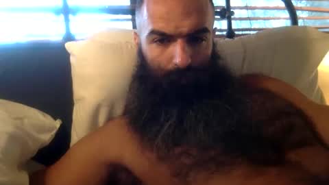 Snapshot of woof_wolf37 chatting on 02/12/26, 02:56 woof_wolf37 online show from 02/12/26, 02:56