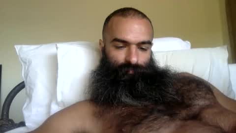 Snapshot of woof_wolf37 chatting on 02/13/26, 03:30 woof_wolf37 online show from 02/13/26, 03:30
