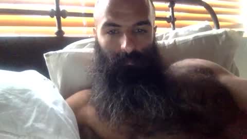 Snapshot of woof_wolf37 chatting on 02/15/26, 03:31 woof_wolf37 online show from 02/15/26, 03:31