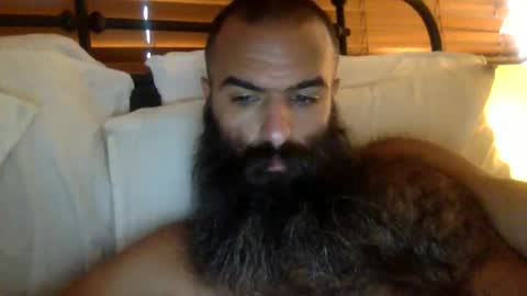 Snapshot of woof_wolf37 chatting on 02/19/26, 04:03 woof_wolf37 online show from 02/19/26, 04:03