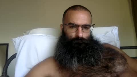 Snapshot of woof_wolf37 chatting on 02/24/26, 04:49 woof_wolf37 online show from 02/24/26, 04:49
