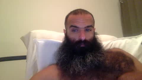 Snapshot of woof_wolf37 chatting on 02/28/26, 05:41 woof_wolf37 online show from 02/28/26, 05:41