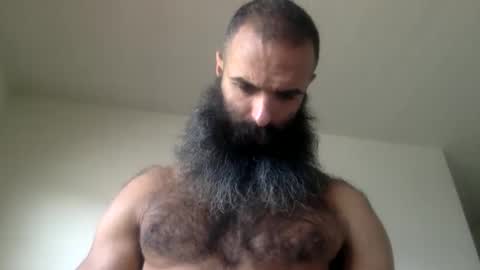Snapshot of woof_wolf37 chatting on 03/05/26, 05:09 woof_wolf37 online show from 03/05/26, 05:09