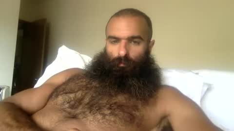 Snapshot of woof_wolf37 chatting on 04/26/26, 05:43 woof_wolf37 online show from 04/26/26, 05:43