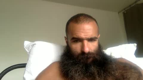 Snapshot of woof_wolf37 chatting on 05/08/26, 04:01 woof_wolf37 online show from 05/08/26, 04:01