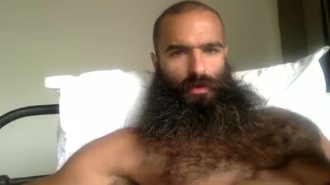 Snapshot of woof_wolf37 chatting on 05/10/26, 03:06 woof_wolf37 online show from 05/10/26, 03:06