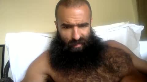 Snapshot of woof_wolf37 chatting on 05/11/26, 04:04 woof_wolf37 online show from 05/11/26, 04:04