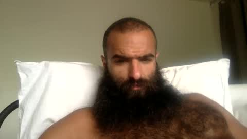 Snapshot of woof_wolf37 chatting on 05/12/26, 03:53 woof_wolf37 online show from 05/12/26, 03:53