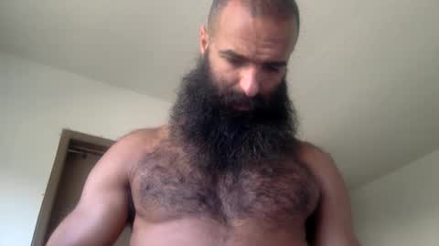 Snapshot of woof_wolf37 chatting on 05/19/26, 03:40 woof_wolf37 online show from 05/19/26, 03:40